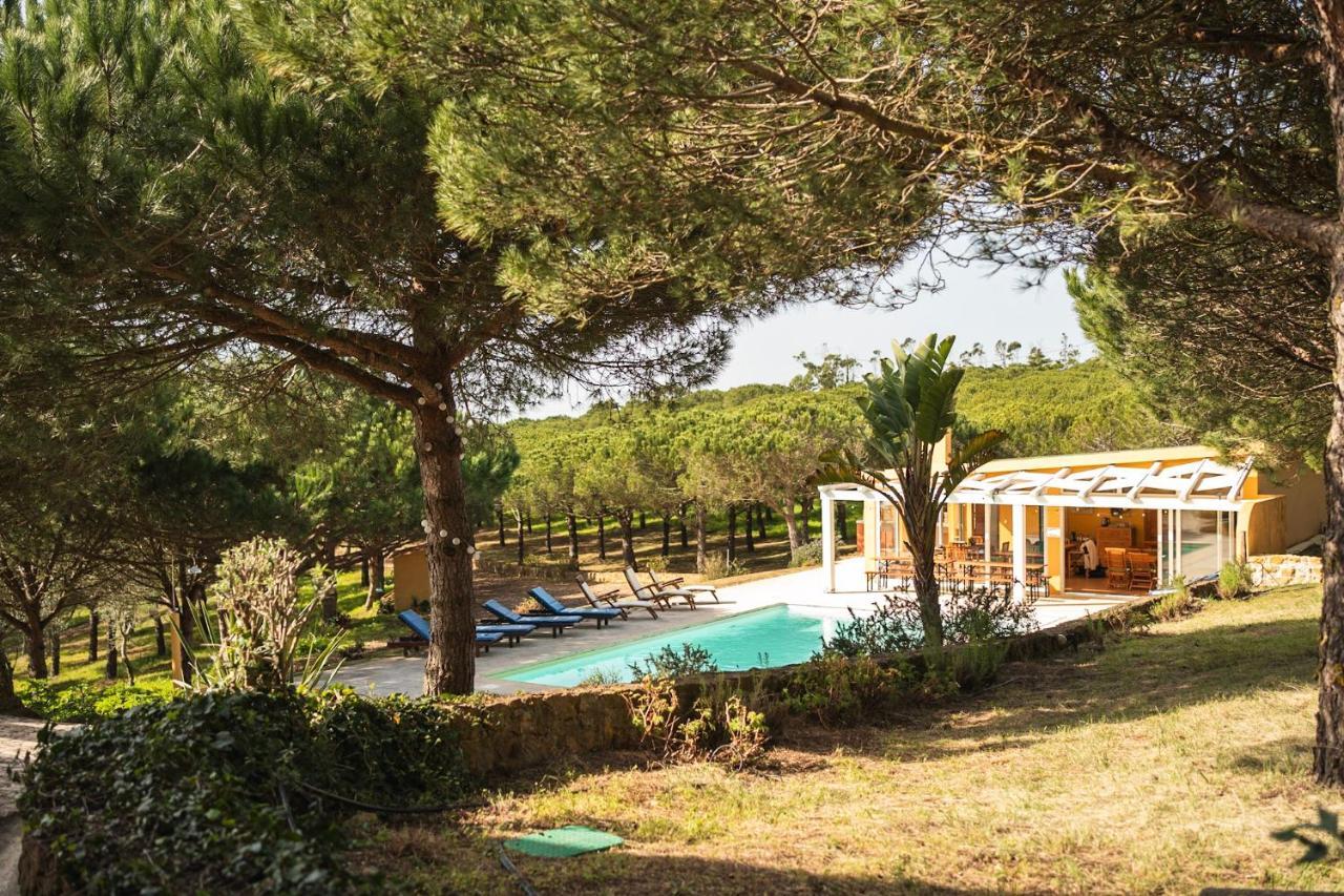 Quinta Raposeiros Apartment Santo Isidoro Exterior photo