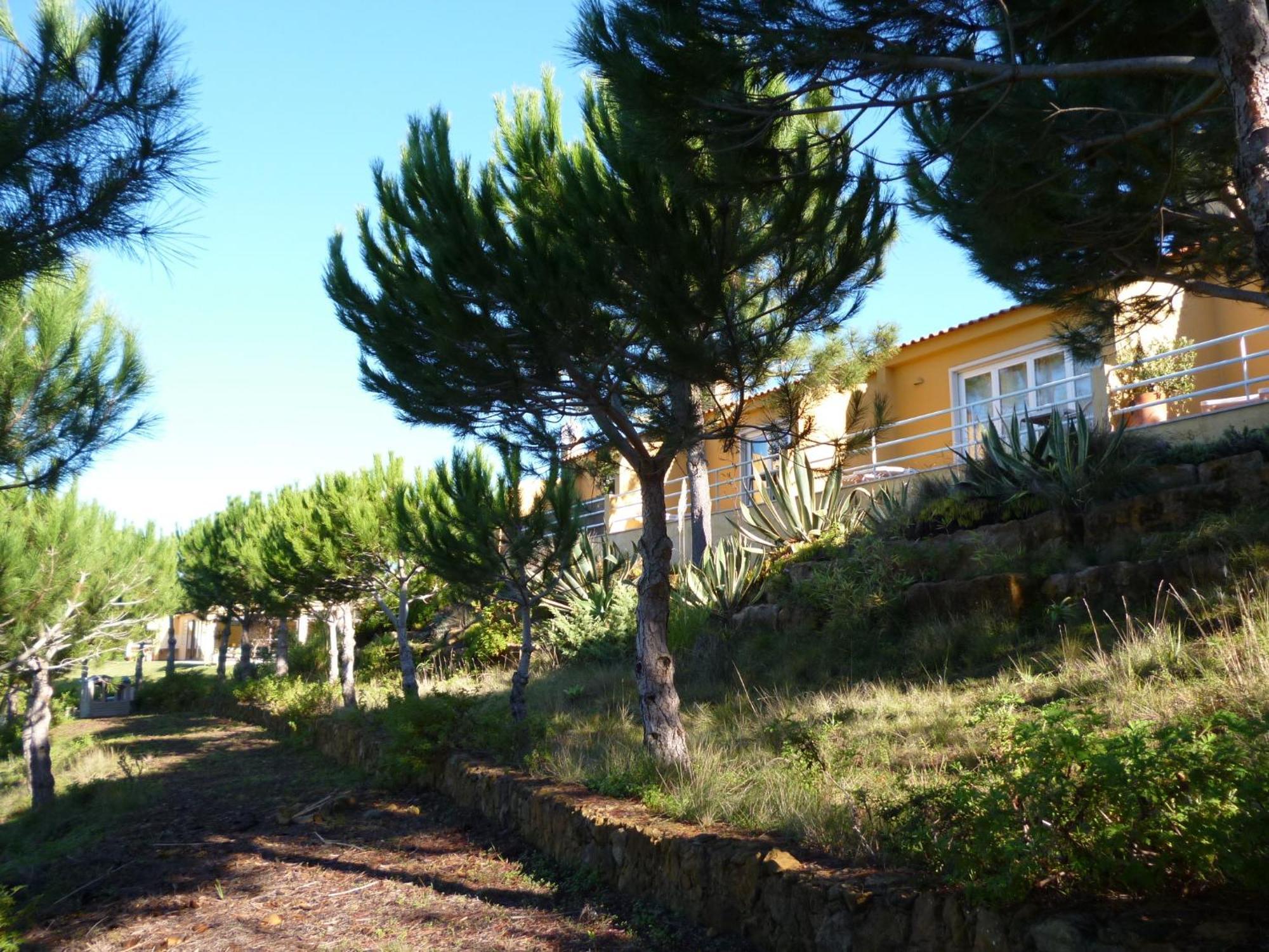 Quinta Raposeiros Apartment Santo Isidoro Exterior photo