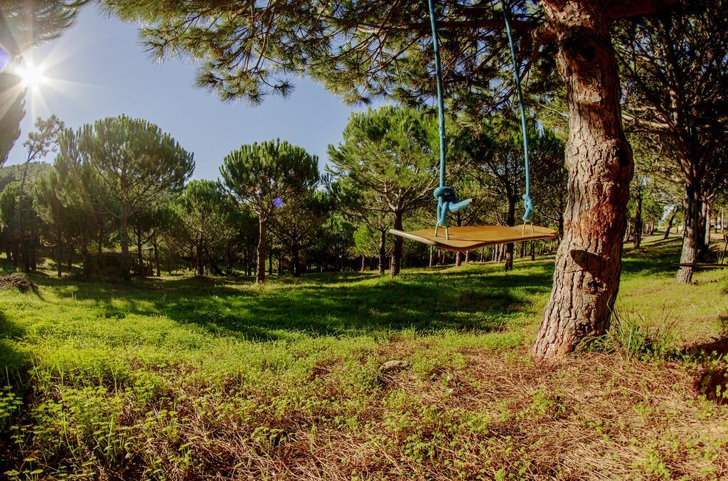 Quinta Raposeiros Apartment Santo Isidoro Exterior photo